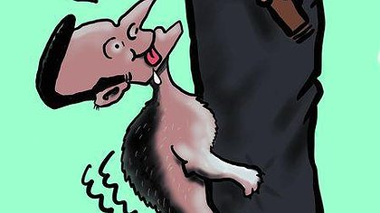 Illustration article