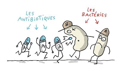 Illustration article